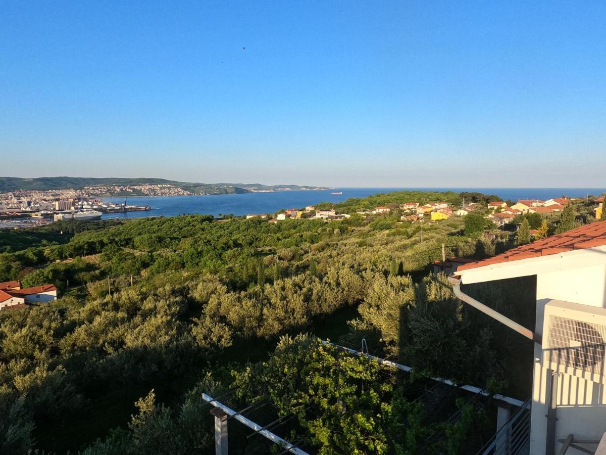 アンカランHouse Among Olive Trees With A Sea View 1アパートメント エクステリア 写真