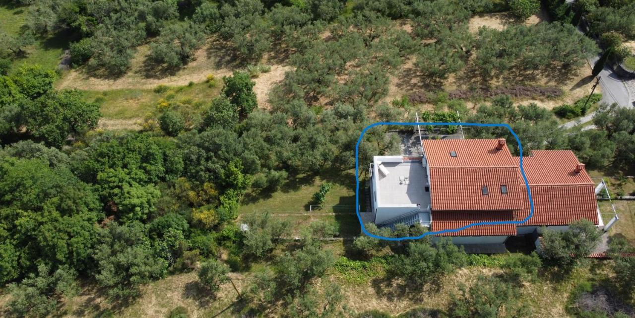 アンカランHouse Among Olive Trees With A Sea View 1アパートメント エクステリア 写真