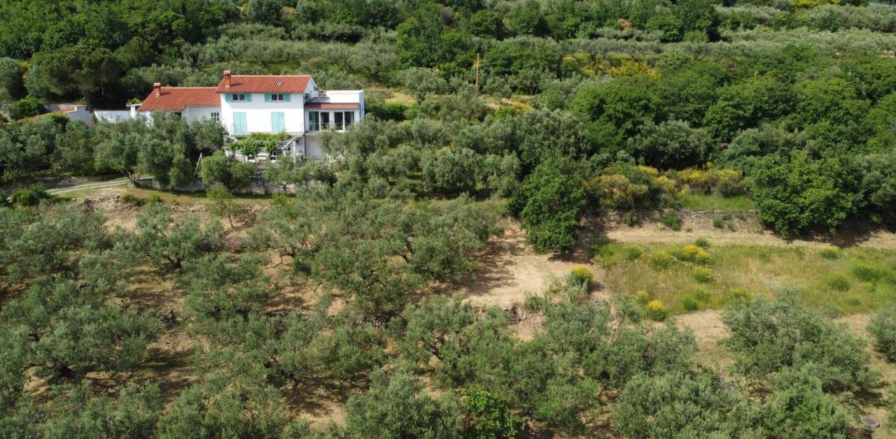 アンカランHouse Among Olive Trees With A Sea View 1アパートメント エクステリア 写真
