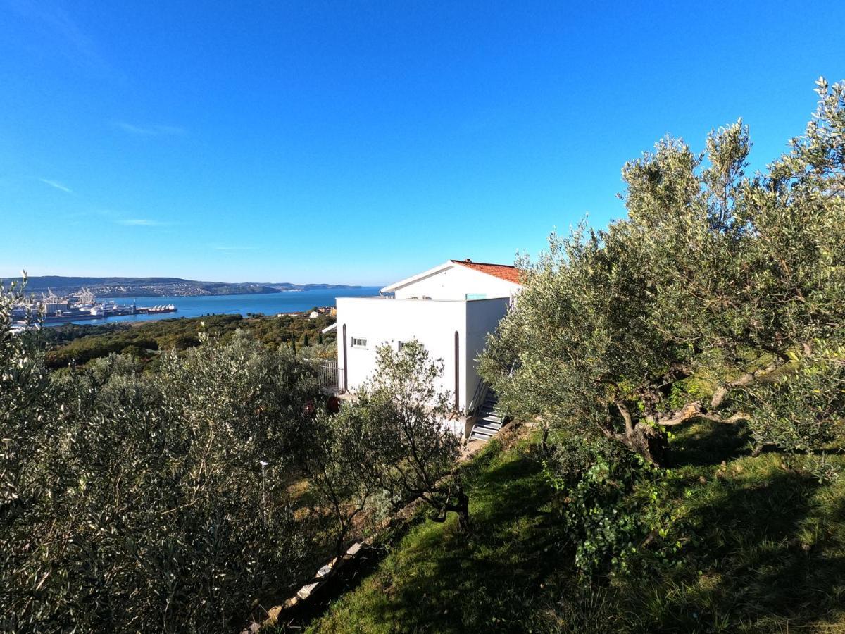 アンカランHouse Among Olive Trees With A Sea View 1アパートメント エクステリア 写真